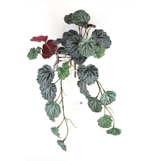 Hojas Begonia 16"
