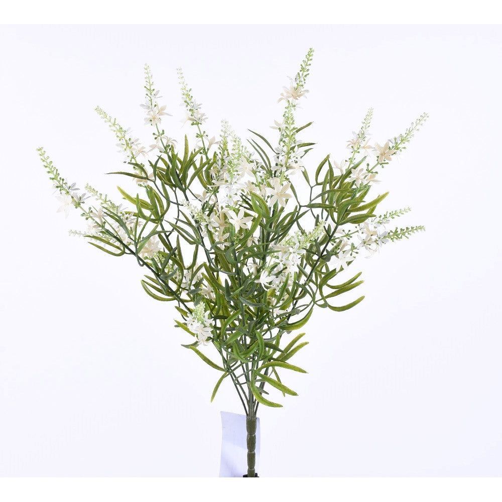 Arbusto Podocarpus