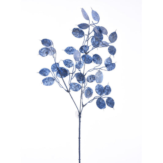 Vara Dóllar Azul