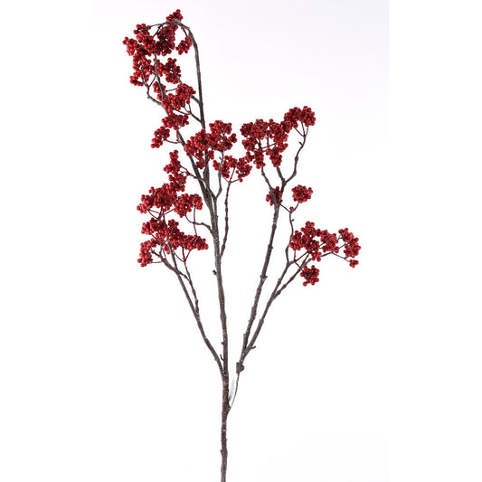 Vara Berry Roja