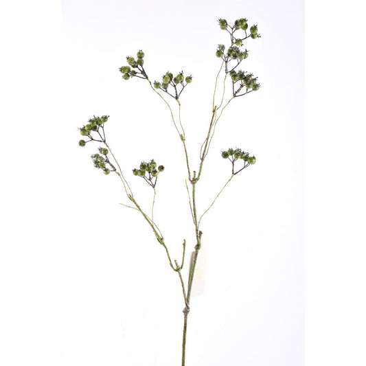Vara Berry Verde