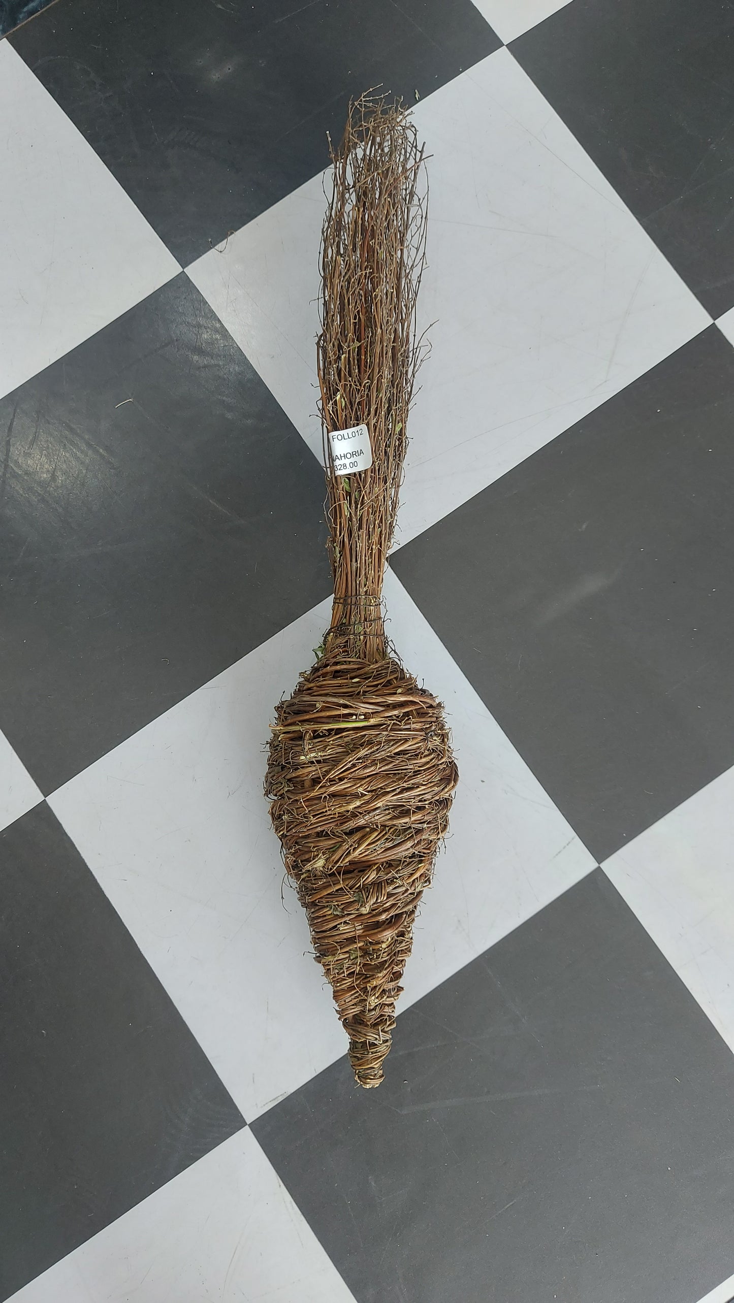 Zanahoria de raíces