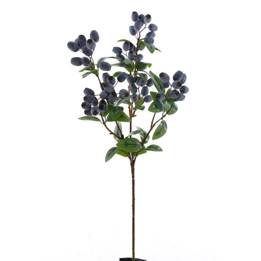 Frutillas Azules