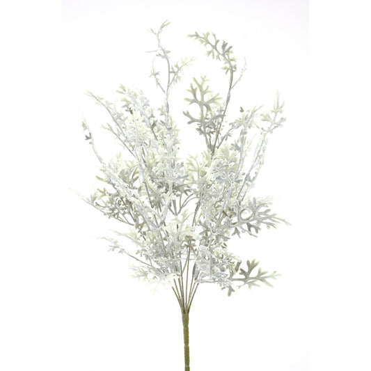 Rama Dusty Miller Natural 20"