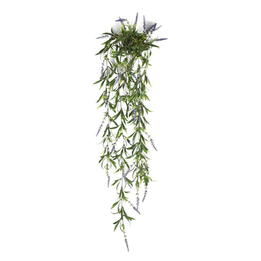Lavanda Colgante