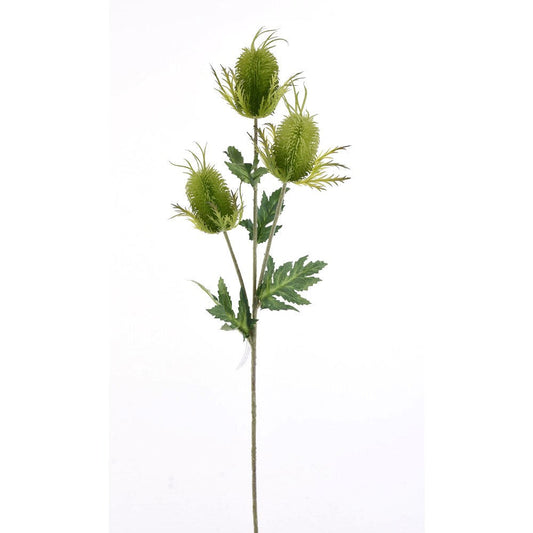 Rama Pompones Verdes