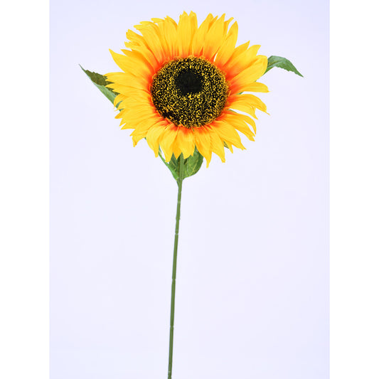 Rama Girasol