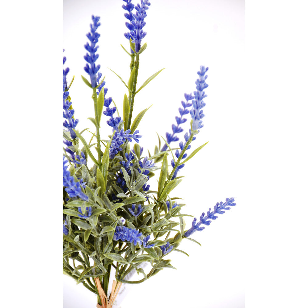 Lavanda 17"