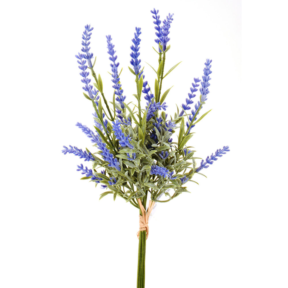 Lavanda 17"