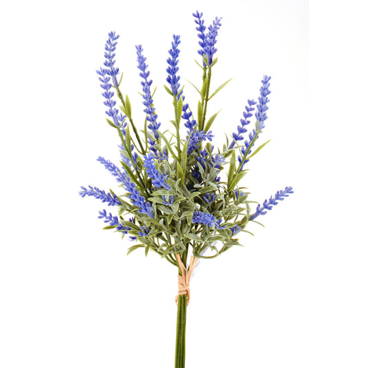 Lavanda 17"