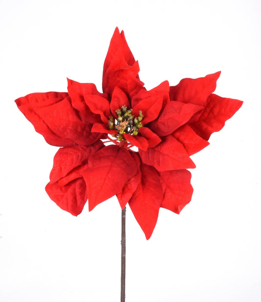 FLOR DE NOCHE BUENA ROJA