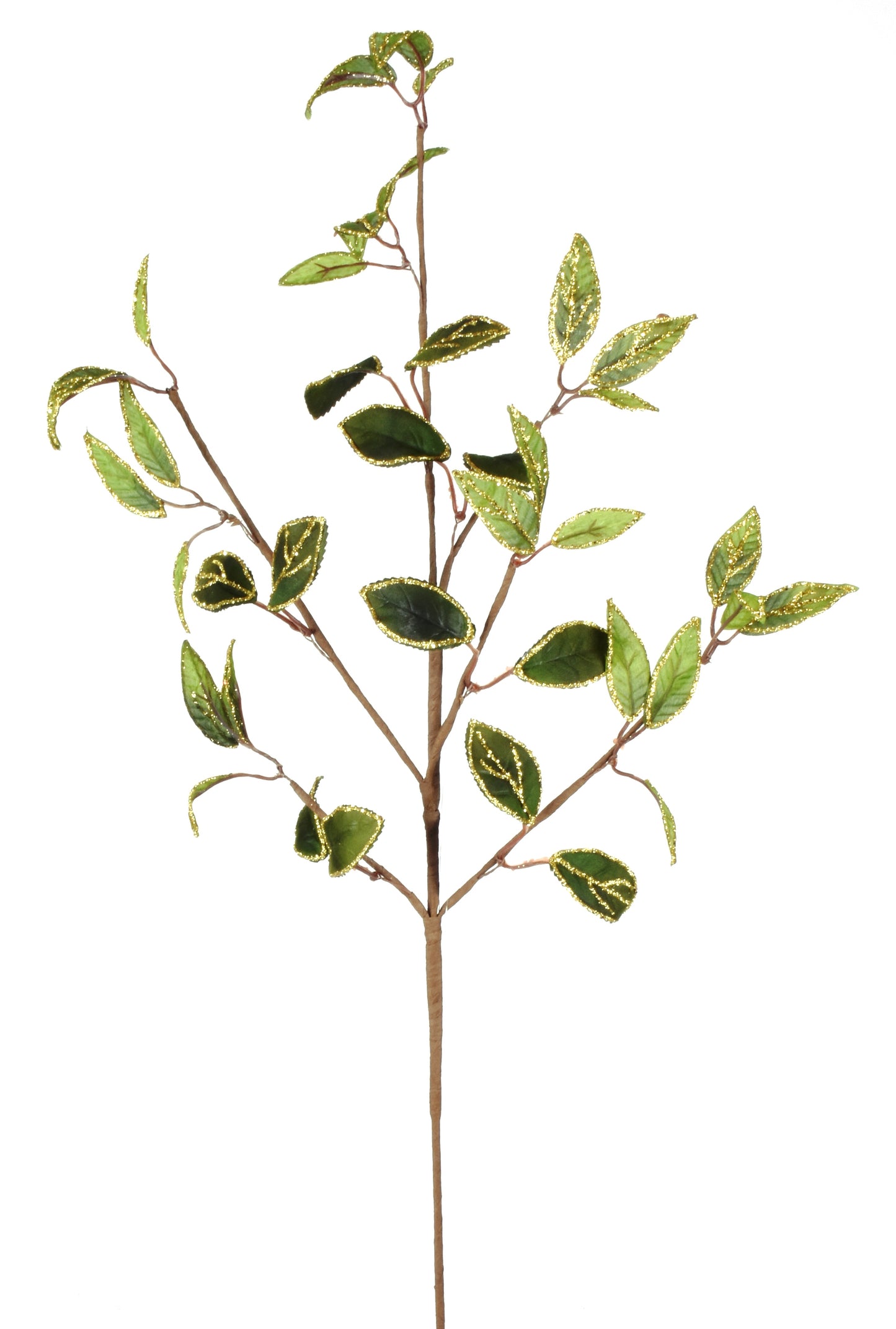 RAMA HOJAS VERDE