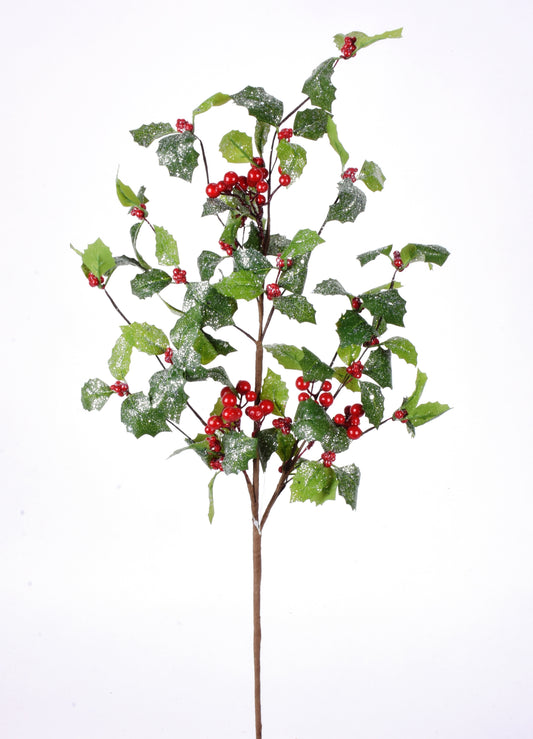 Rama Iced Holly