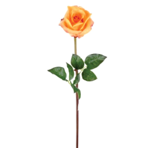 ROSA YEL/ORG