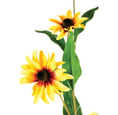 GIRASOL