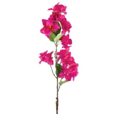 Bougambilea Fucsia 33"