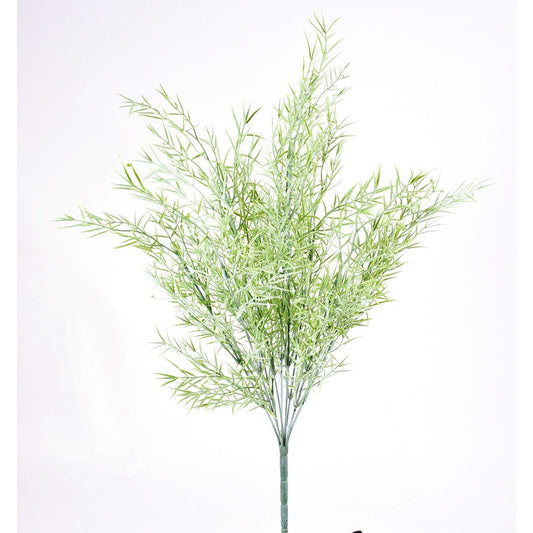 Arbusto Dusty Green