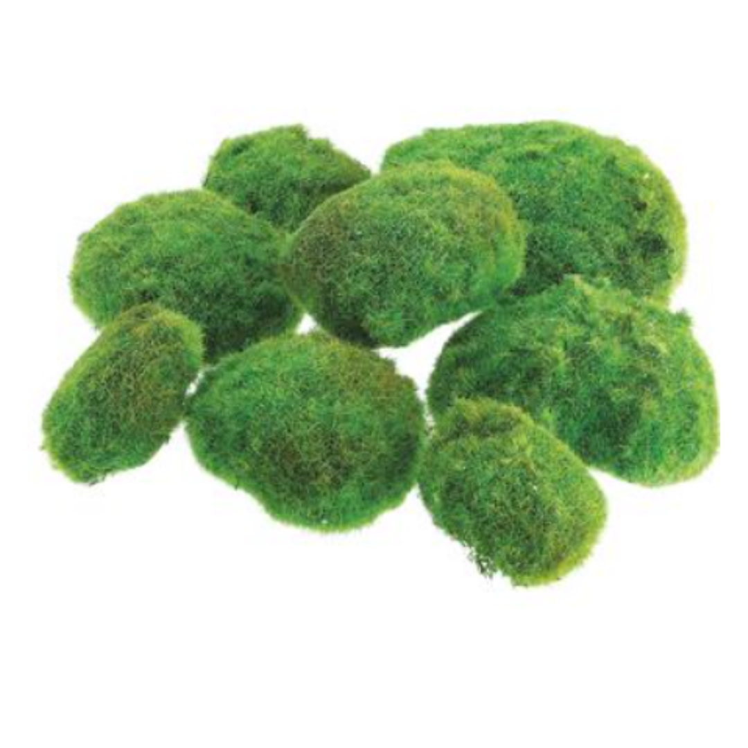 Piedras de Musgo
