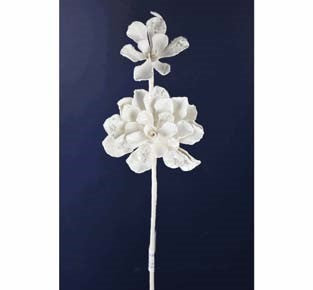 Rama Suculenta Blanca