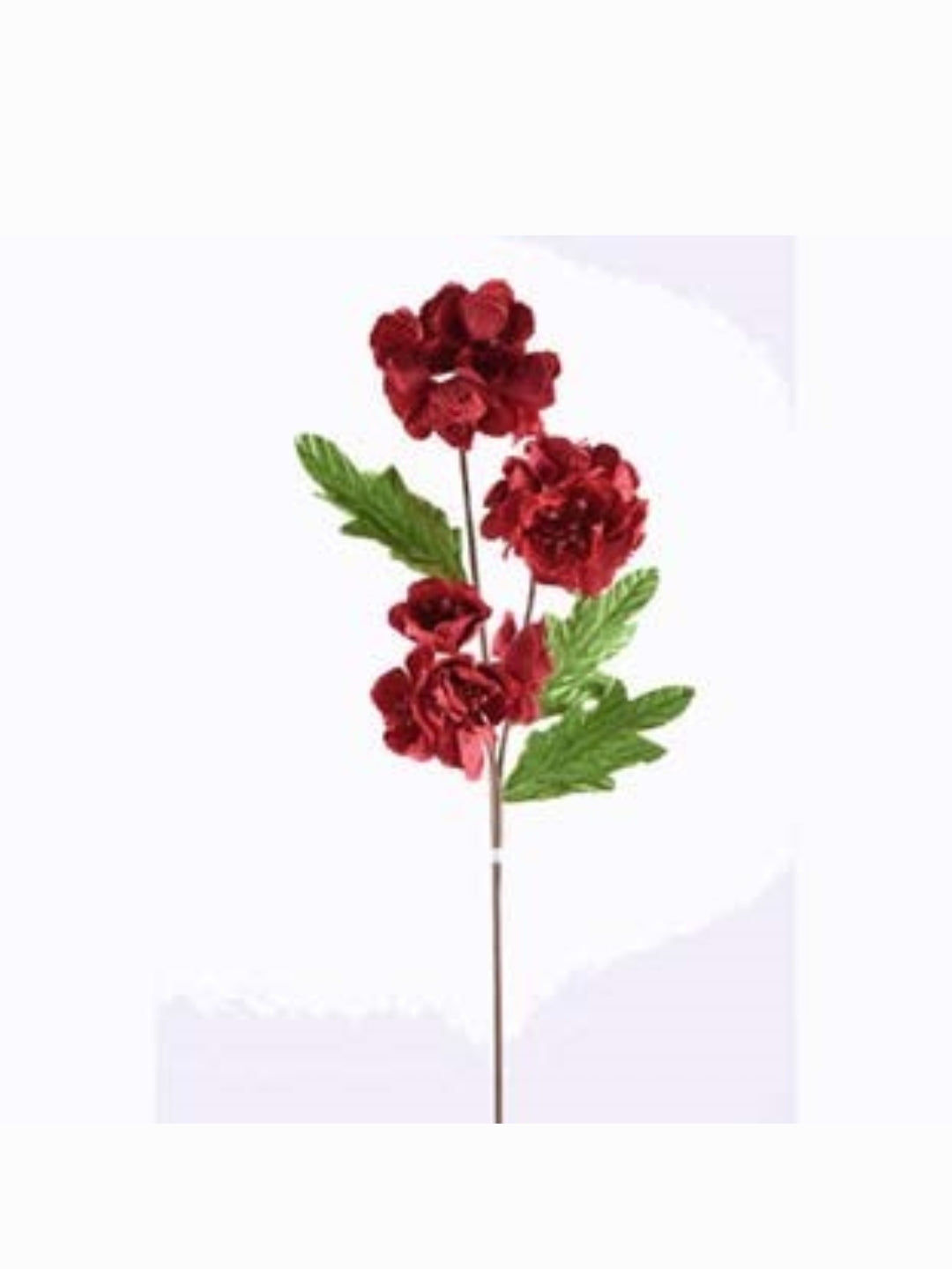 Rama Hortensia Roja