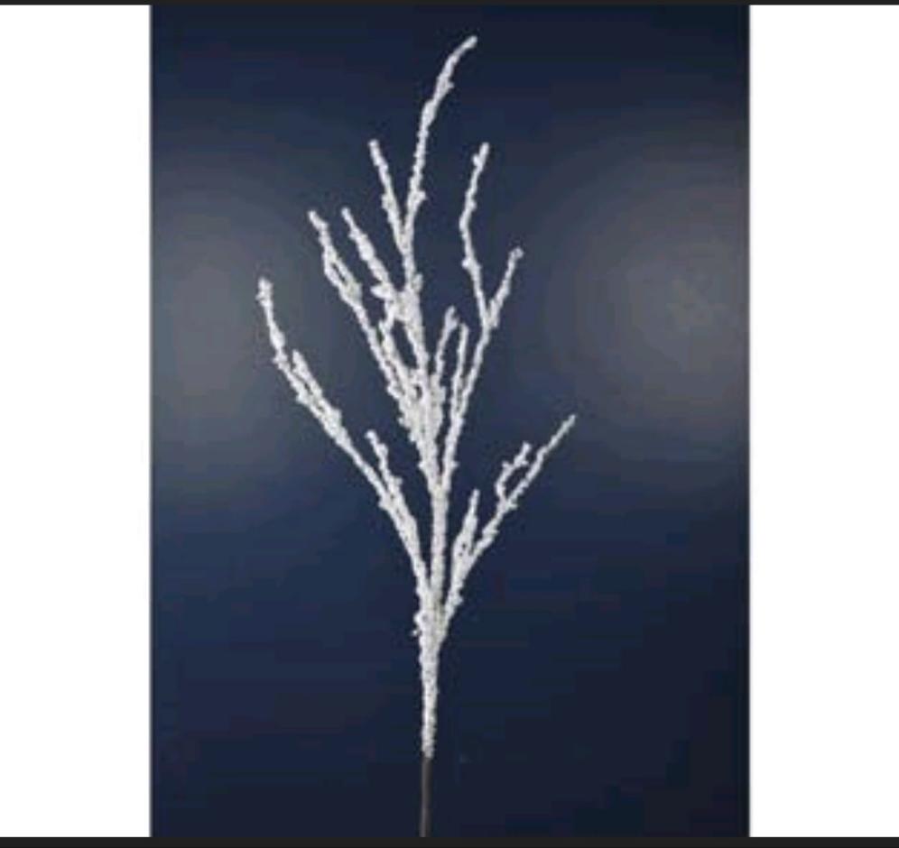 Rama Frosted