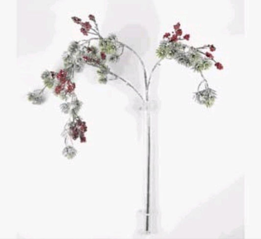 Rama Snowy Berry