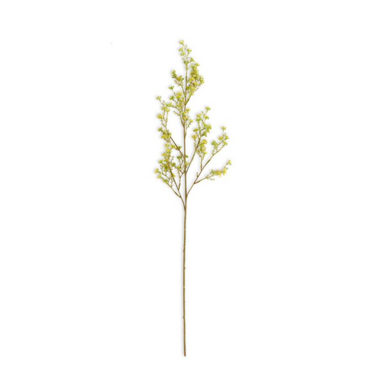 Mini Berry Amarillo 31"