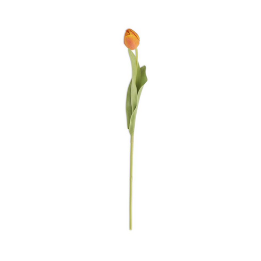 Tulipán Naranja Real Touch