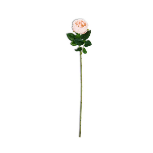 Rosa Durazno Real Touch