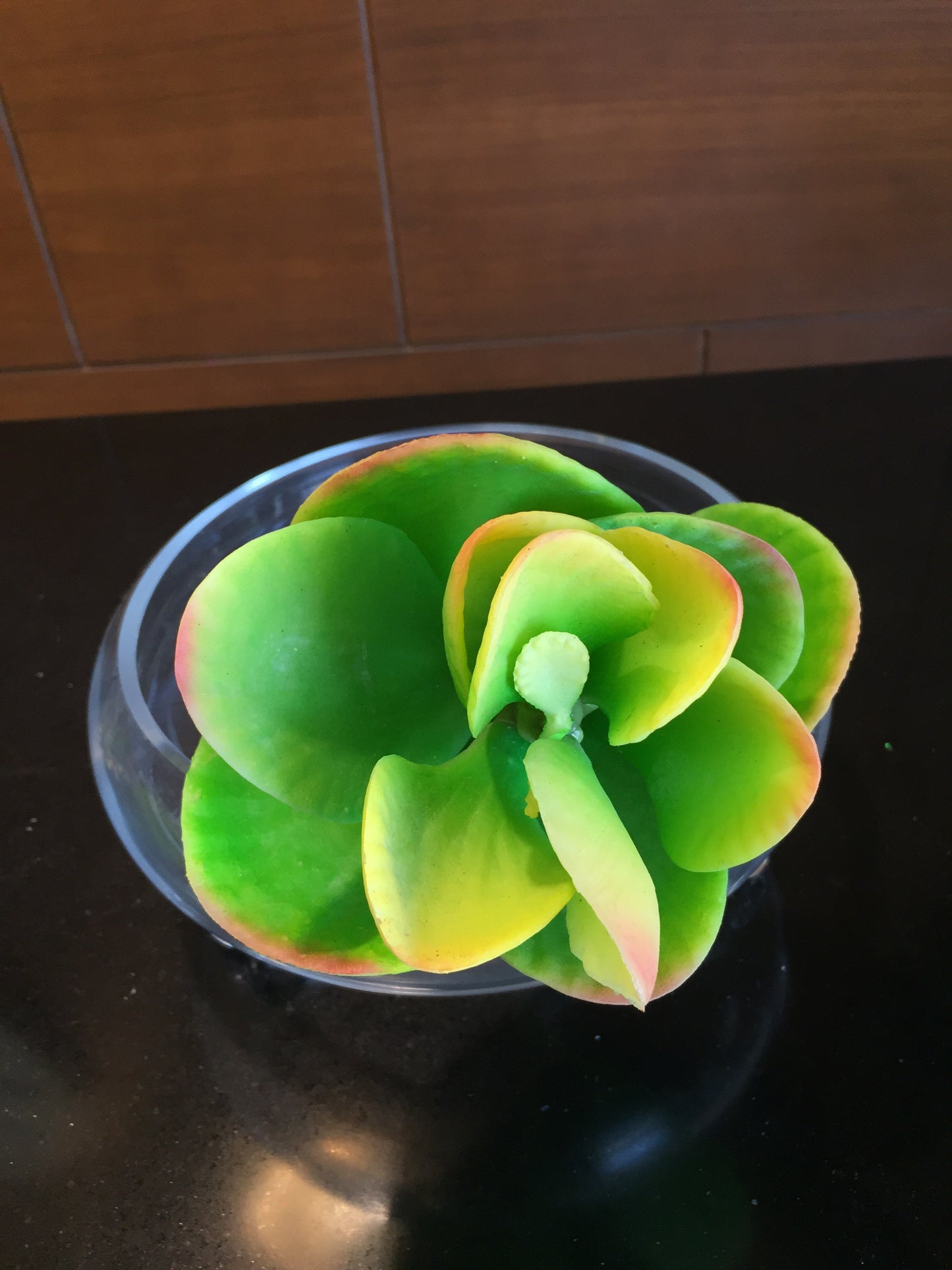 Planta artificial Suculenta (varios tipos y colores disponibles)
