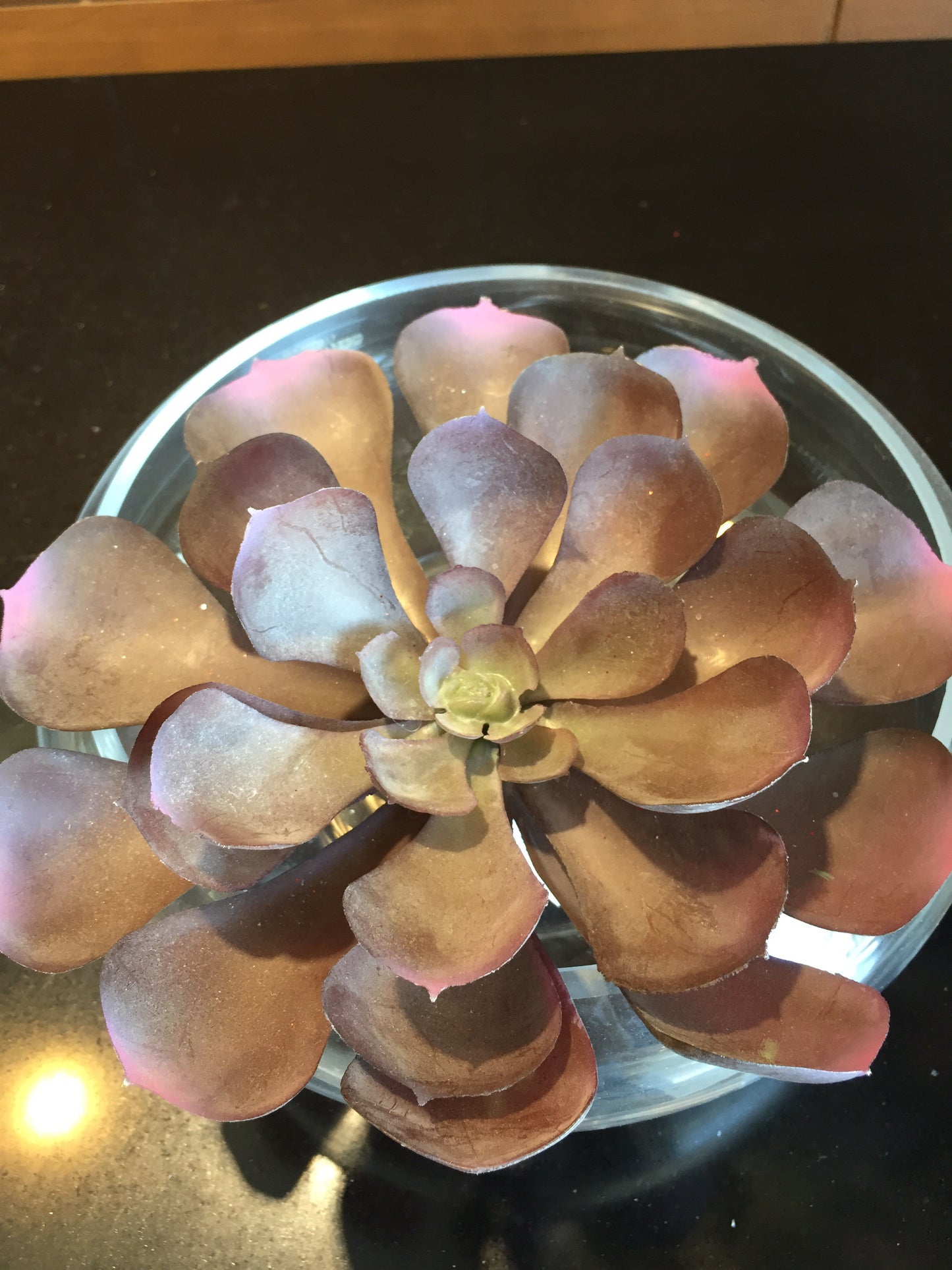 Planta artificial Suculenta (varios tipos y colores disponibles)