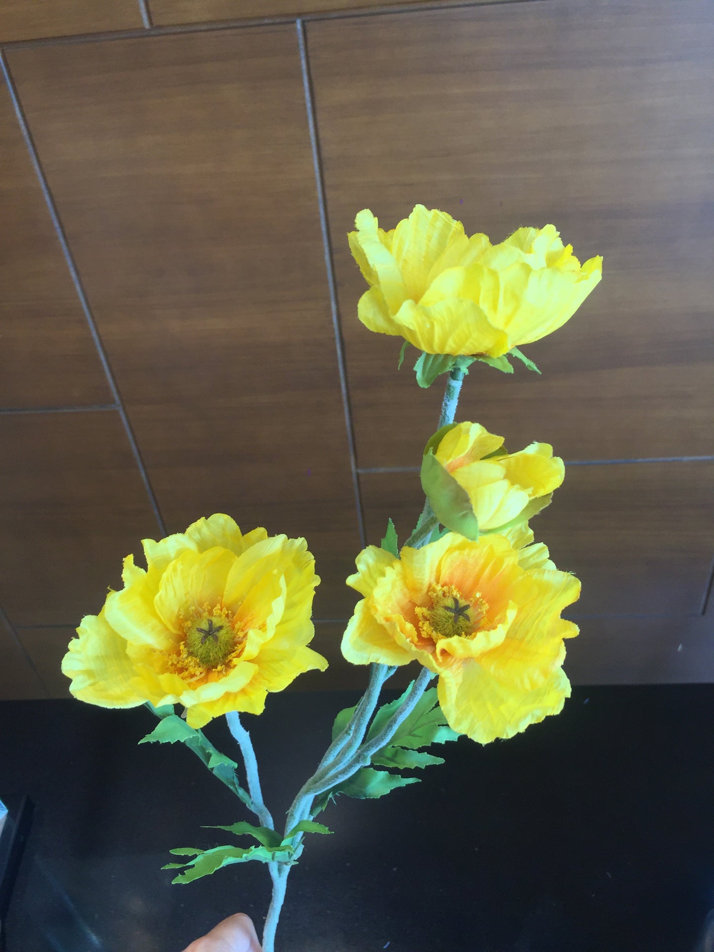 Amapola