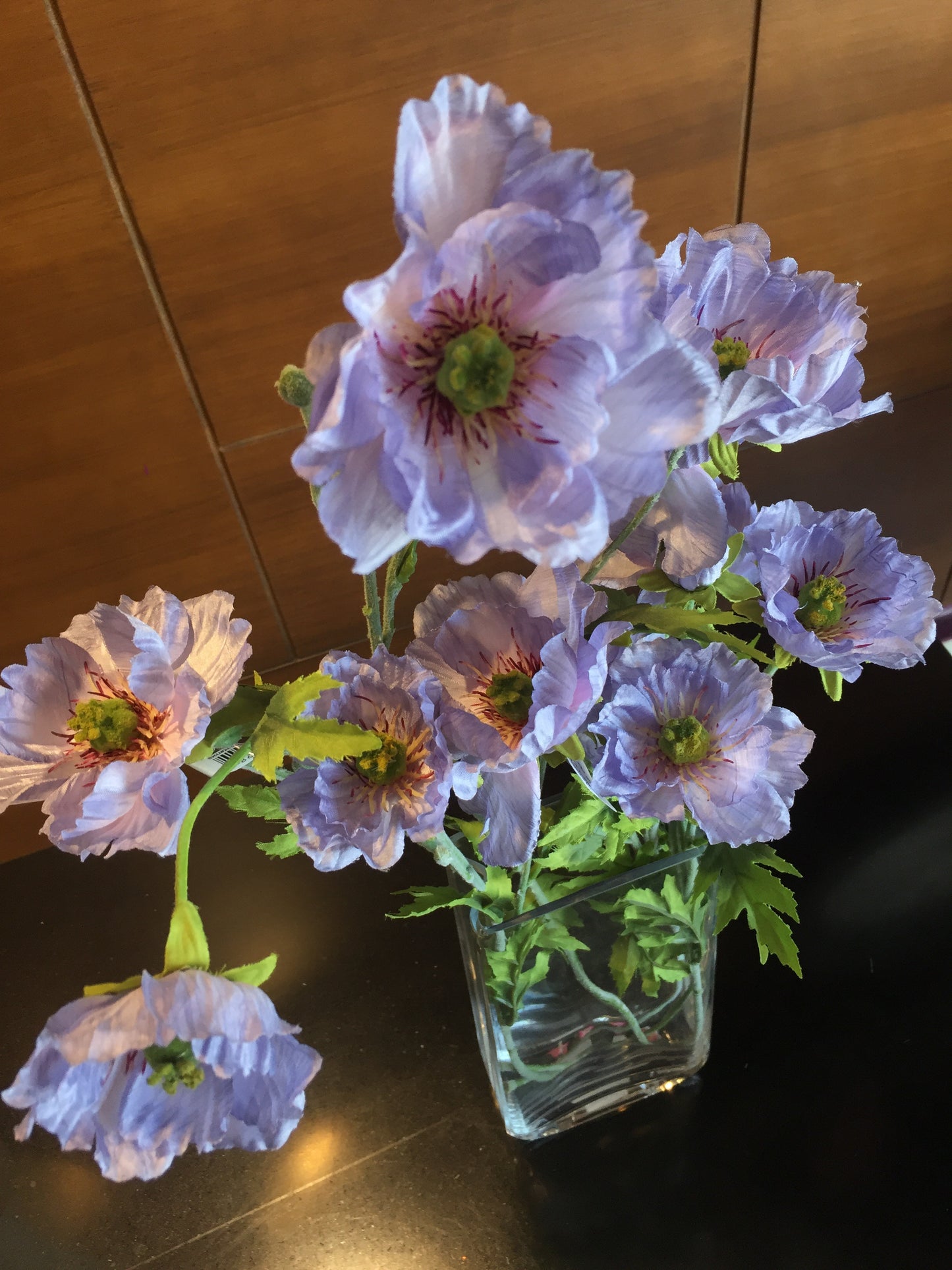 Amapola
