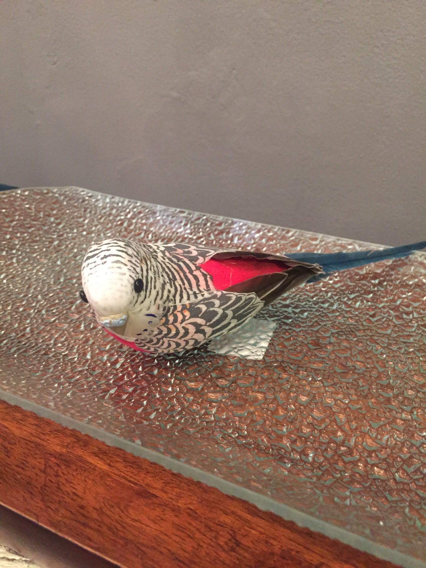 Perico de amor de utilería (por pieza)