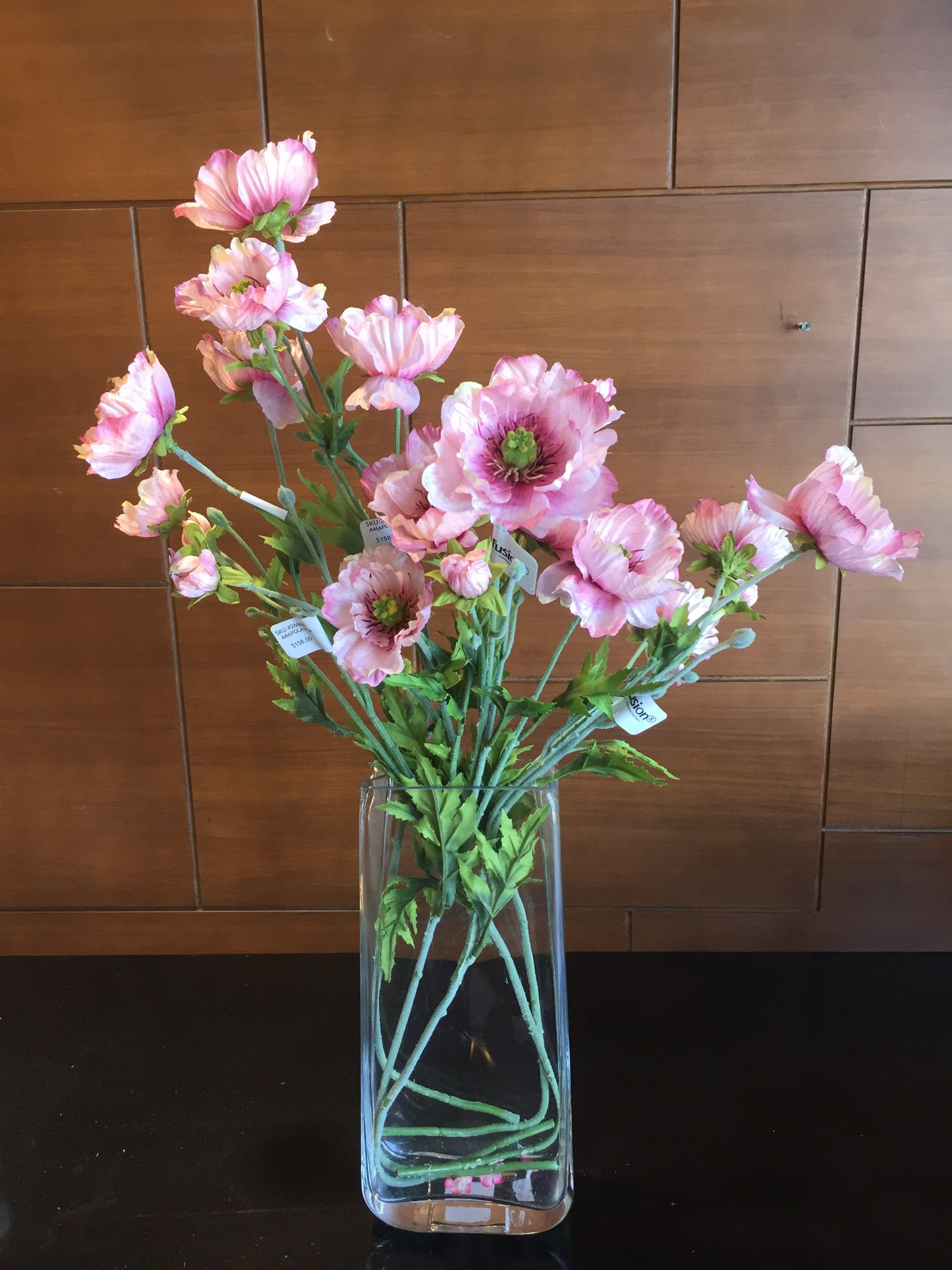 Amapola