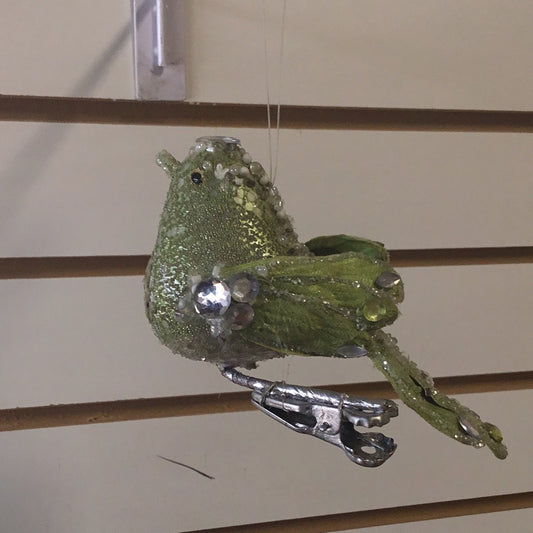 Pájaro verde con pinza