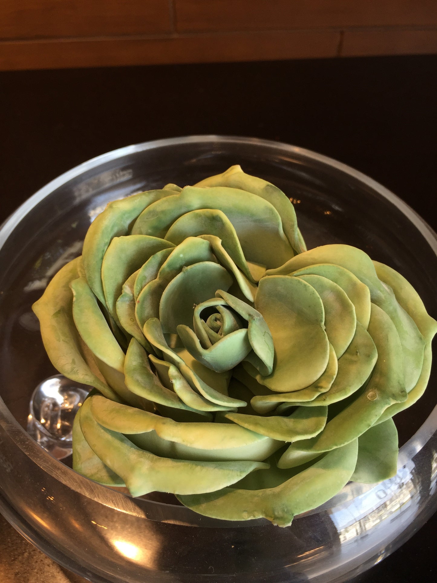 Planta artificial Suculenta (varios tipos y colores disponibles)