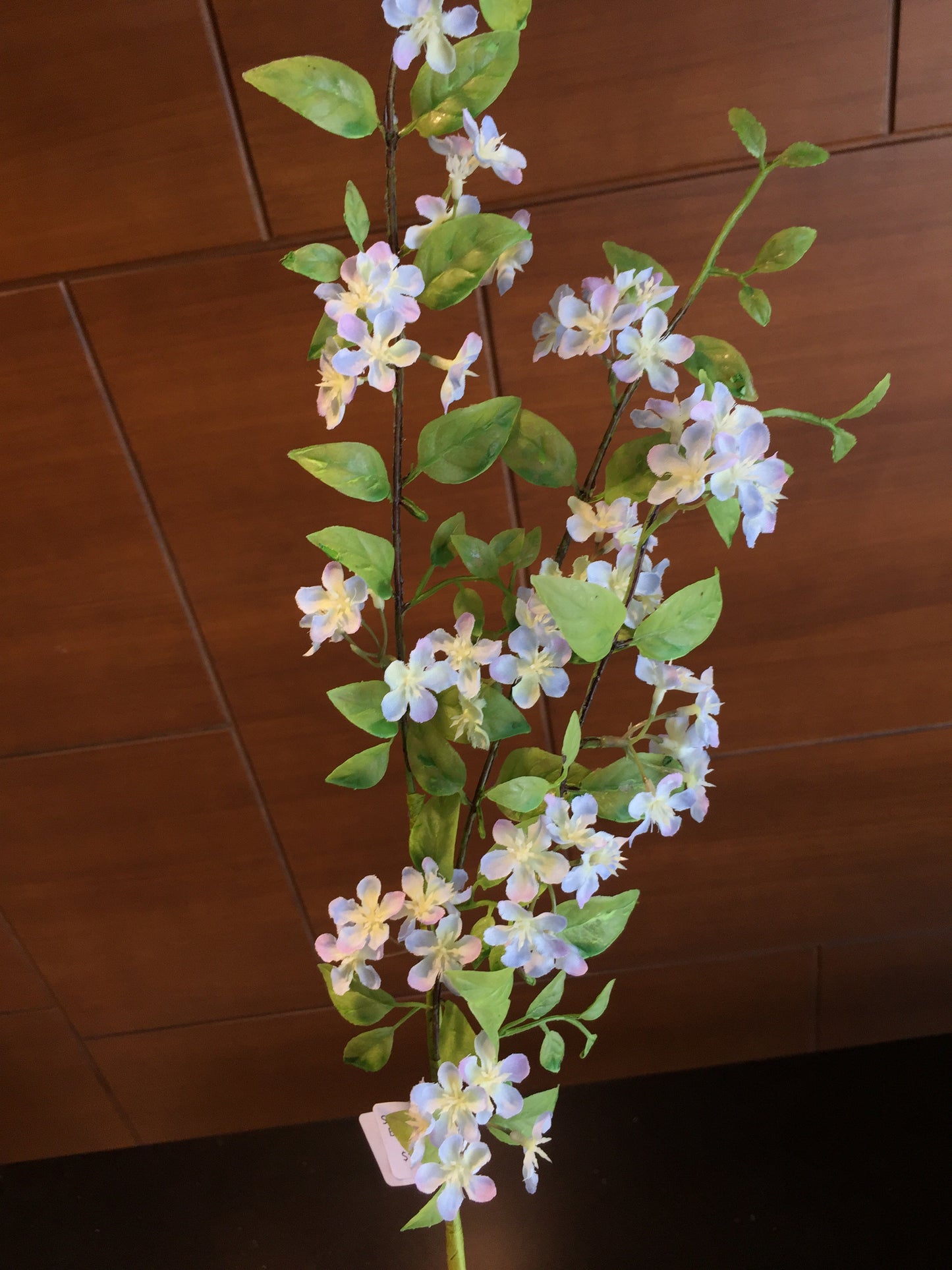 Flor de Cerezo