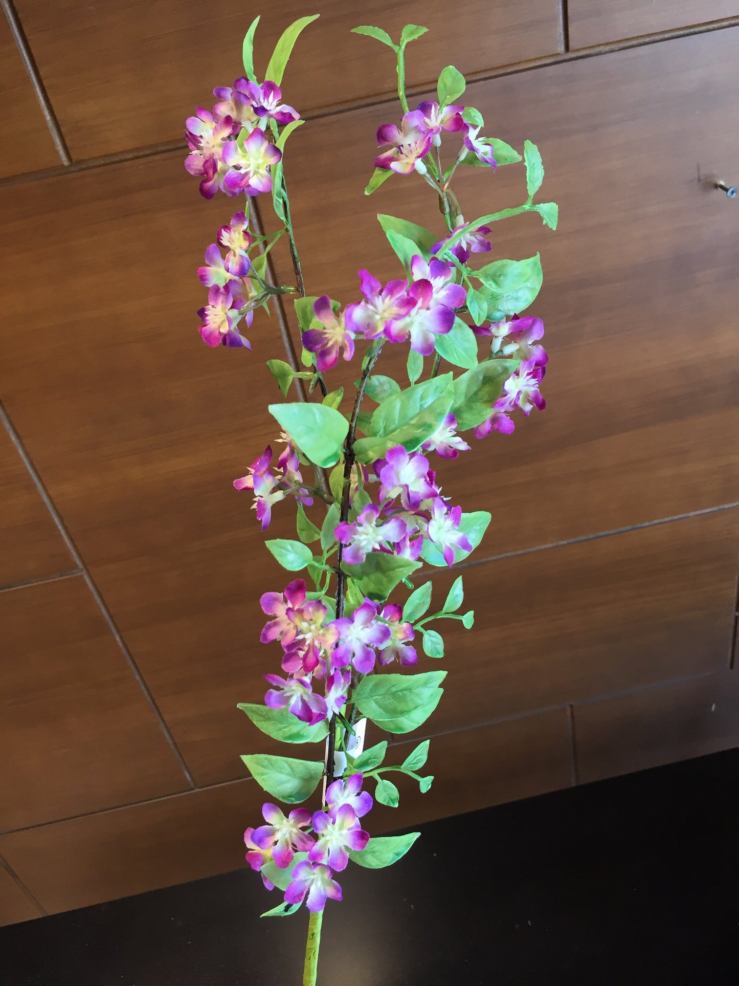 Flor de Cerezo