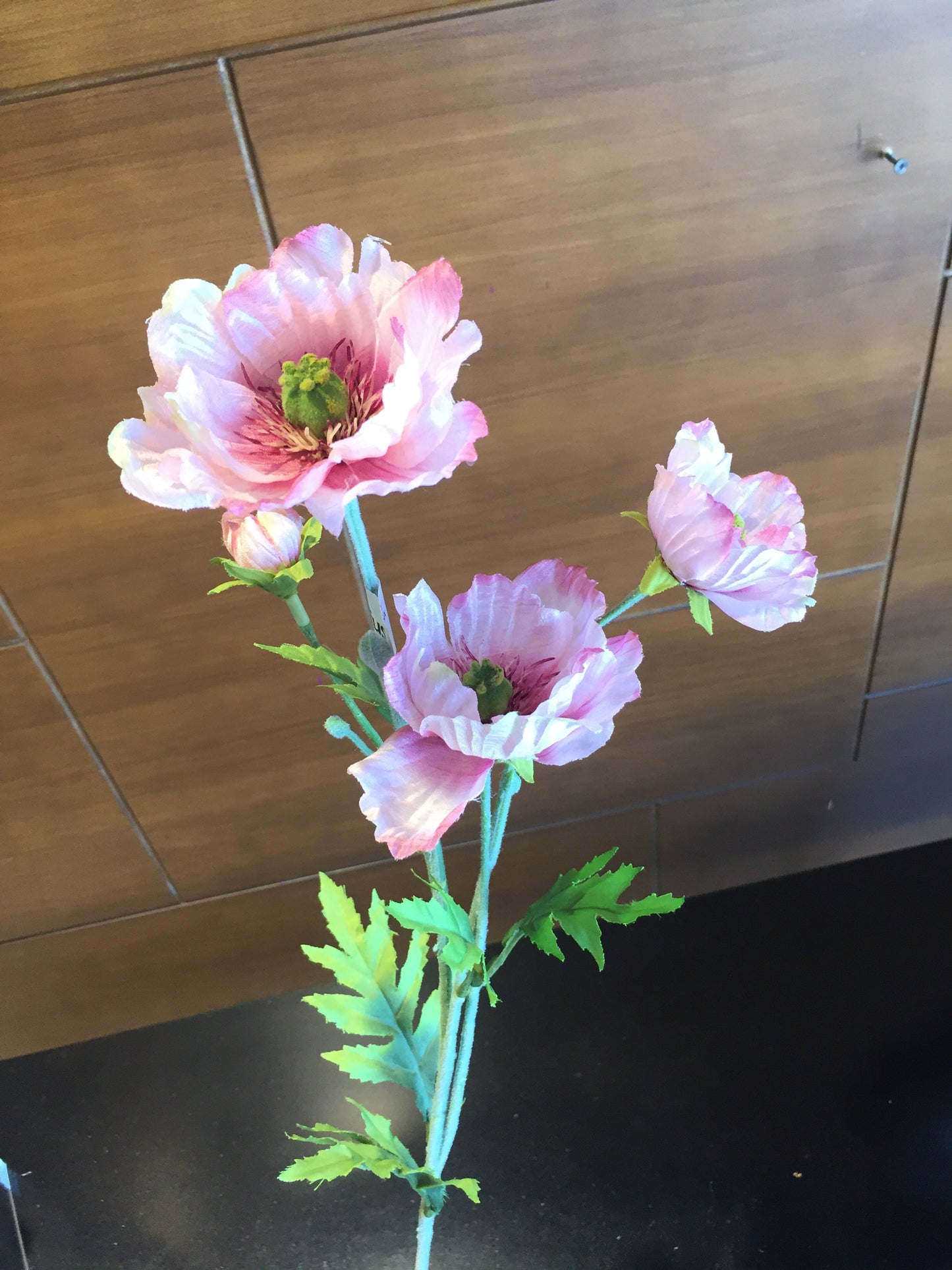 Amapola