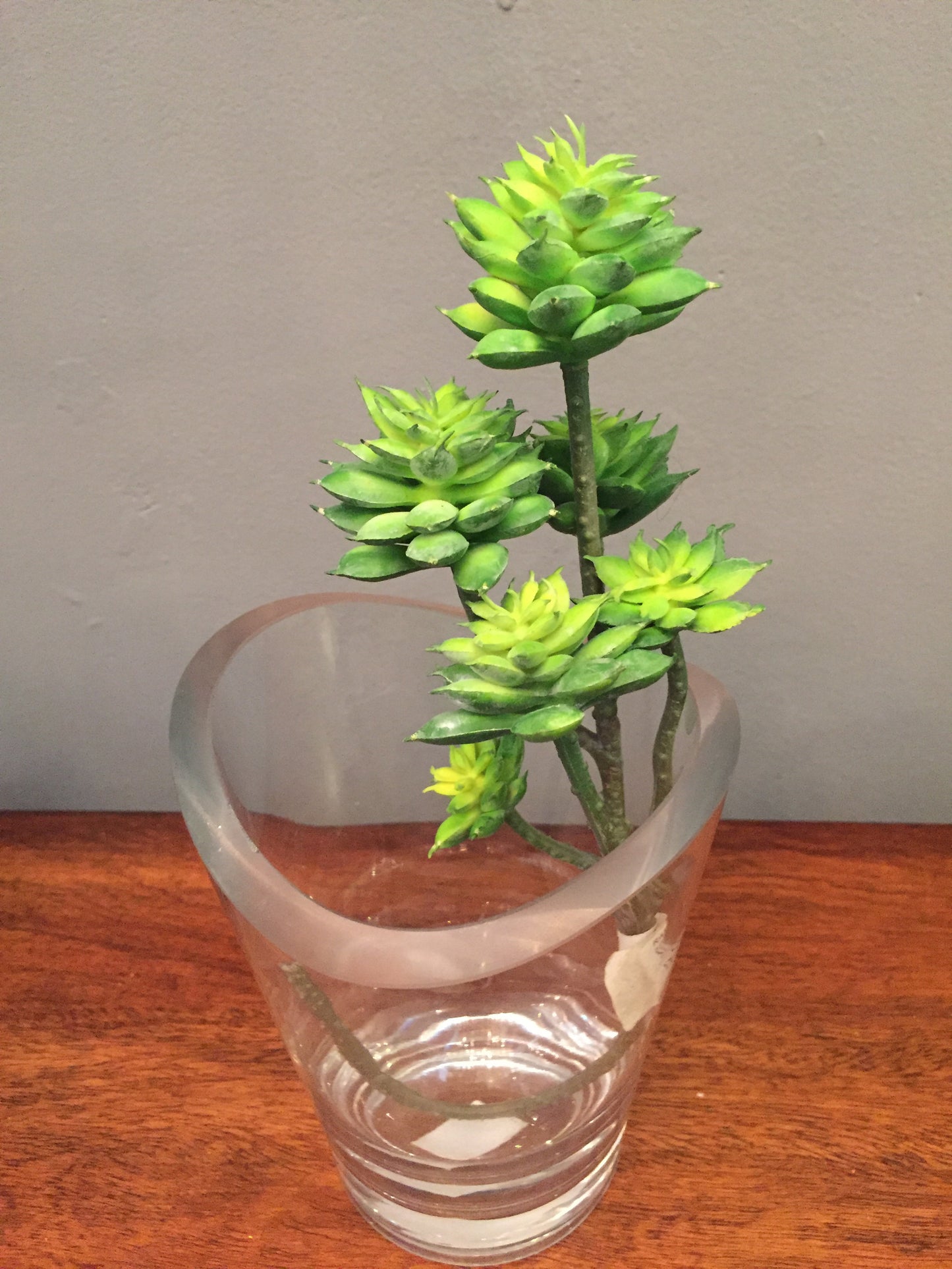Planta artificial Suculenta (varios tipos y colores disponibles)