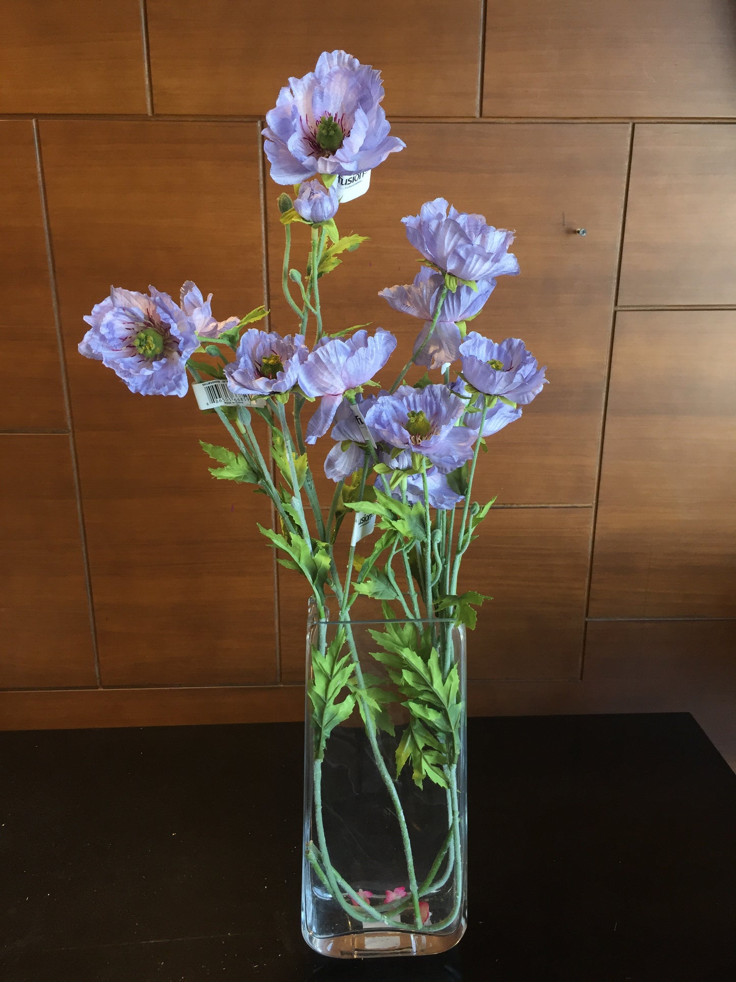 Amapola