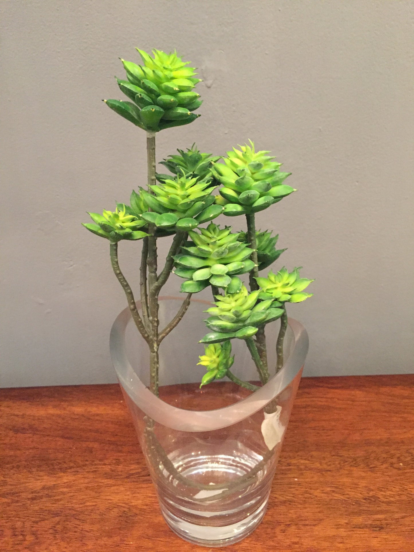 Planta artificial Suculenta (varios tipos y colores disponibles)